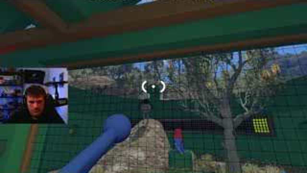 BIG WALK Cliff Lights and Buttons: Two-Room Relay — Read wall, pattern, position